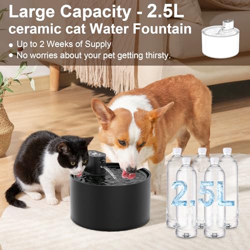 Automatic Ceramic Cat Water Fountain