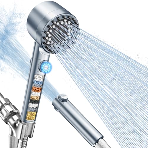 Filtered Shower Head with Handheld