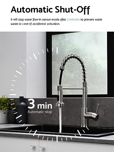 Touchless Kitchen Faucet
