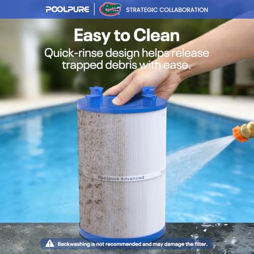 C 7367 Spa Filter Replaces PD075