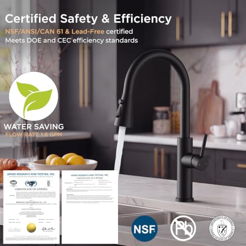 Black Kitchen Faucet with Pull Down Sprayer