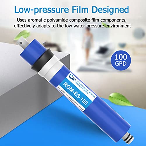 100 GPD RO Membrane Filter Replacement with Reverse Osmosis Housing