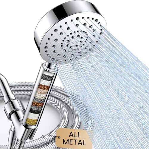 Filtered Shower Head with Handheld