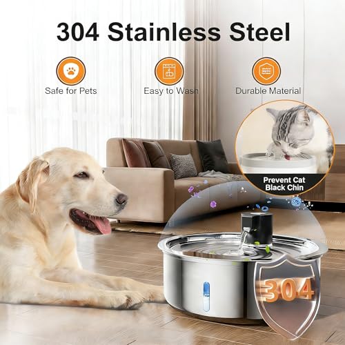 Dog Water Fountain