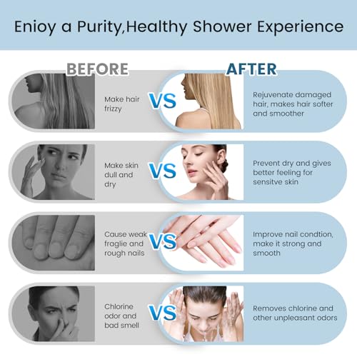 Filtered Shower Head with Handheld