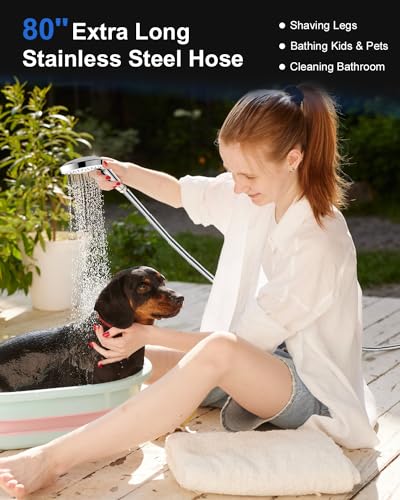 Shower Head with Handheld
