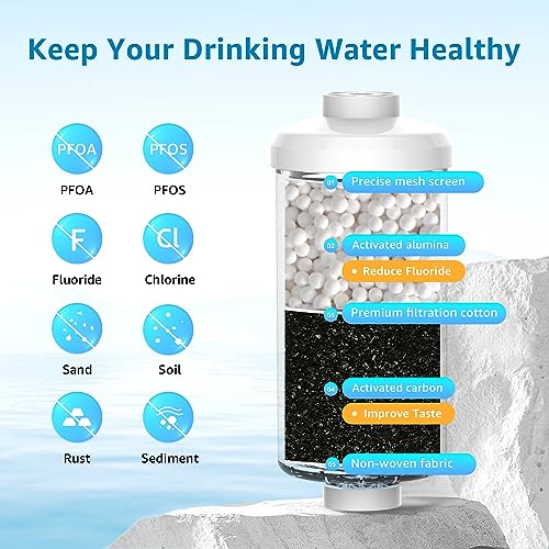 Fluoride Water Filter (2 Count)