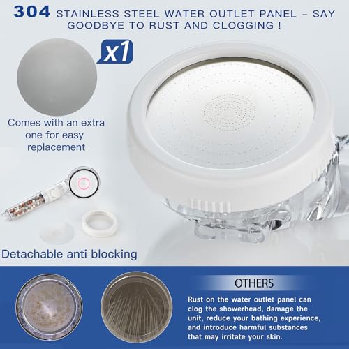 Filtered Shower Head with Handheld