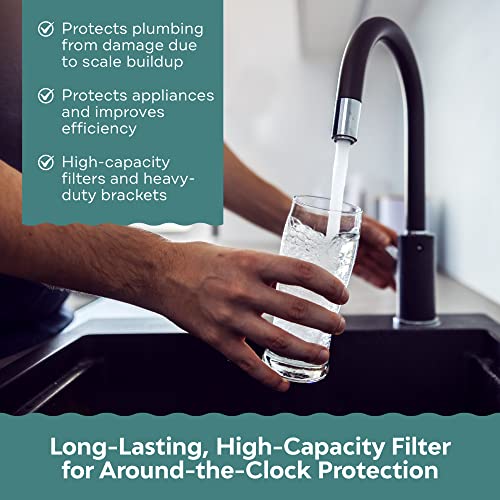 Water Descaler for Tankless Water Heater and Whole