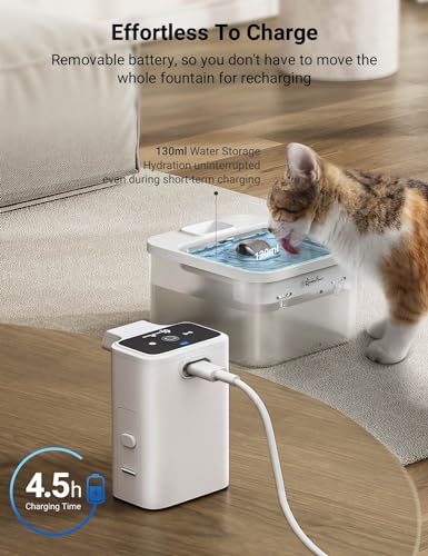 Cat Water Fountain Cordless