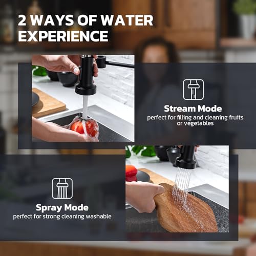 Kitchen Faucet with Soap Dispenser