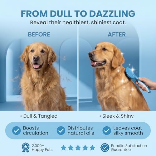 Round Bristle Pet Brush for Dogs and Cats