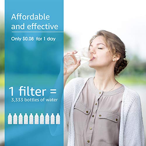 RC EZ 3 Water Filter Replacement for Culligan® RC (2 Count)