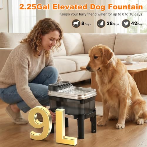 9L Elevated Stainless Steel Dog Water Fountain with Filter