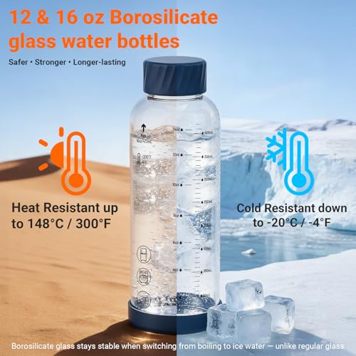 16 oz Glass Juice Bottles 4 Pack