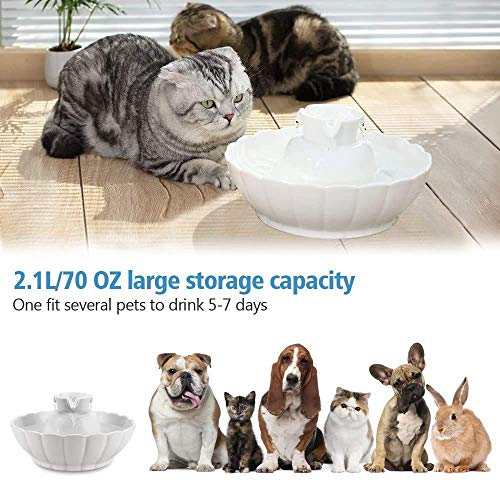 Tritone Ceramic Cat Water Fountain