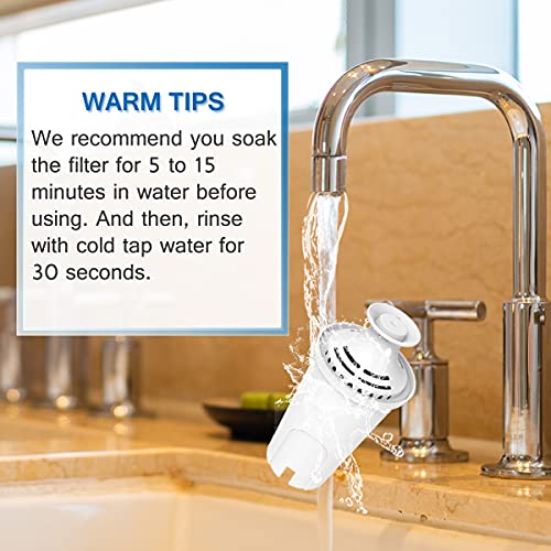 Replacement for Brita Filters (4 Count)