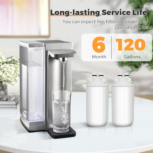 Water Replacement Filter (2 Count)