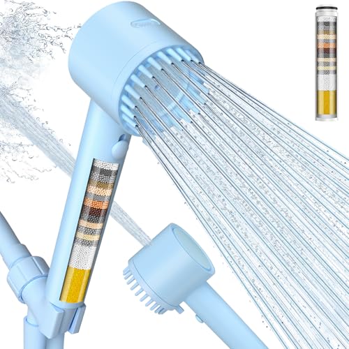 Filtered Shower Head with Handheld