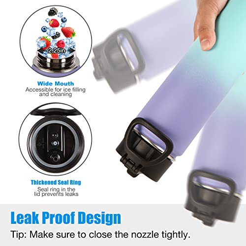 22 oz Insulated Water Bottles with Straw Lid