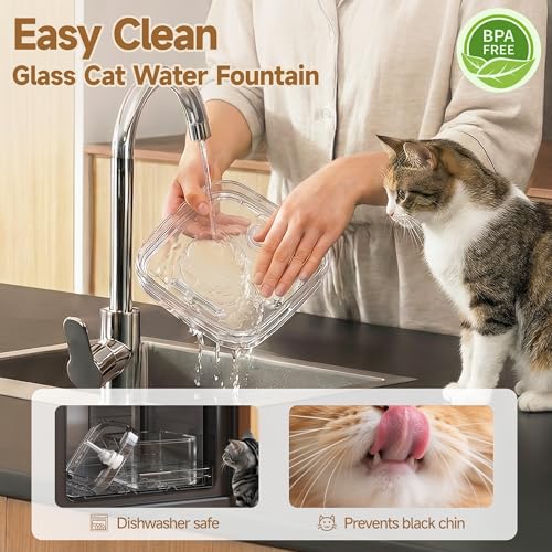 Glass Cat Water Fountain