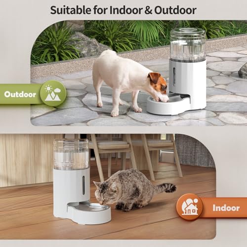 Cat Water Dispenser with Stainless Steel Bowl