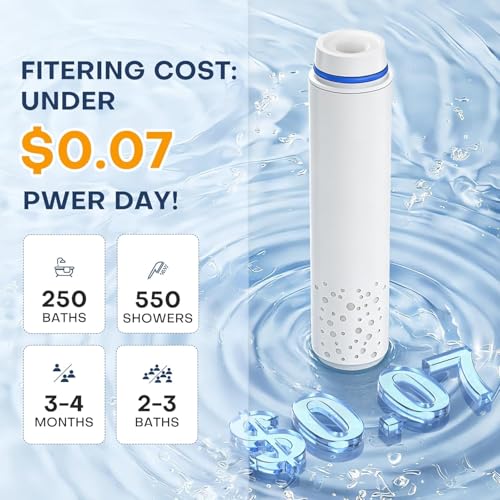 4 Pack Shower Filter for Handheld Shower Head (4 Count)