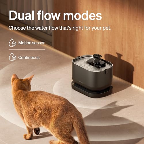 Cat Water Fountain