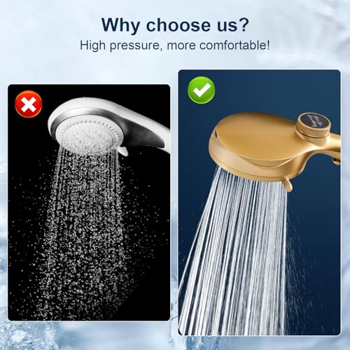 Filtered Shower Head with Handheld