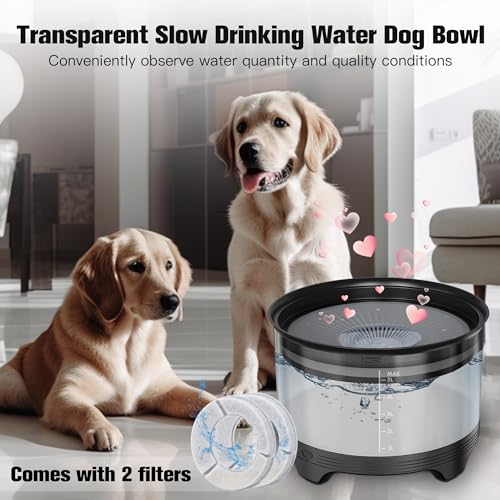 5.5L No Spill Dog Water Bowl
