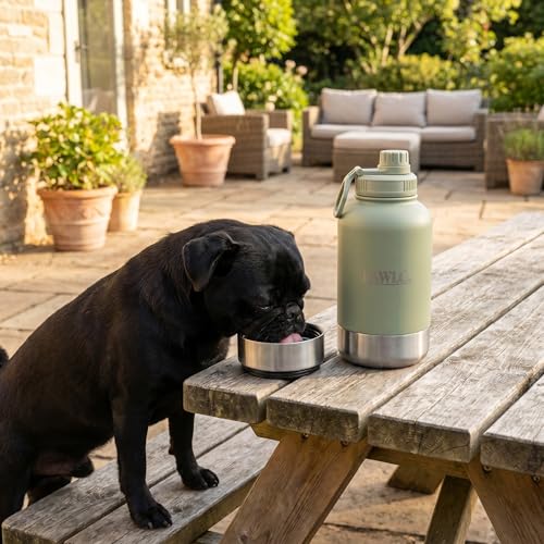 Outdoor Dog Water Bottle with 2 Stainless Steel Bowls