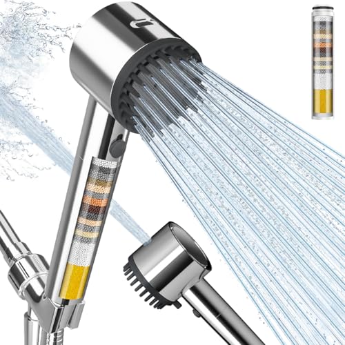 Filtered Shower Head with Handheld