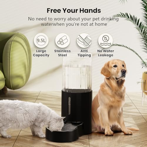 Dog Water Bowl Dispenser 9.5L
