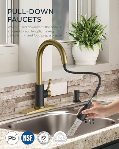 Kitchen Faucet with Soap Dispenser