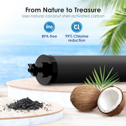 Black Water Filter (2 Count)