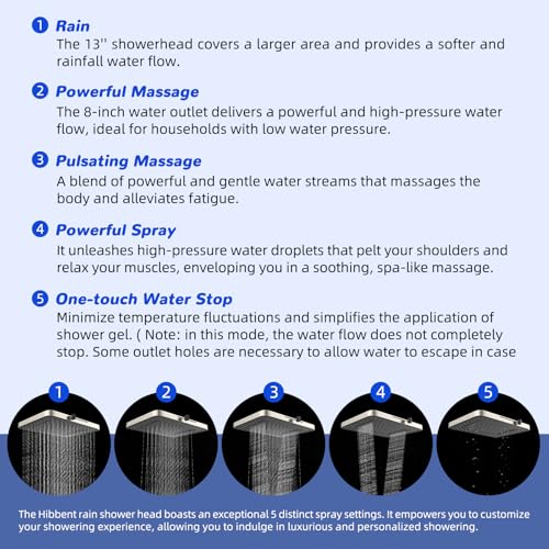 cUPC Certified Upgraded 13'' Shower Head Combo
