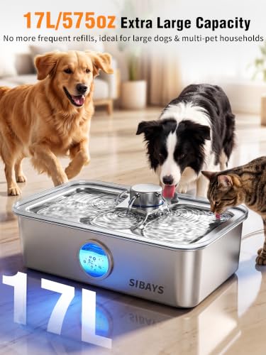 17L Dog Water Fountain