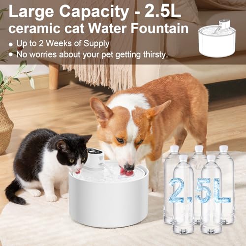 Automatic Ceramic Cat Water Fountain