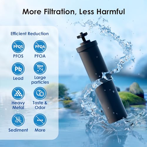 Black Water Filter (2 Count)