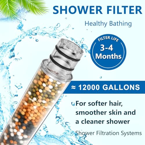 2 PACK Replacement Shower Head Filter Cartridge Compatible with SR SUN RISE Handheld Showerhead