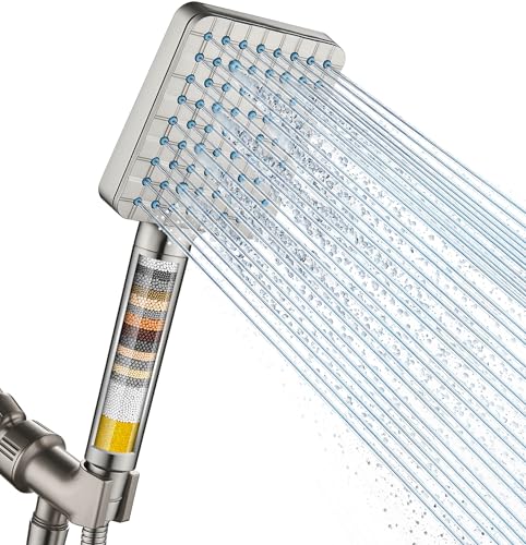 Filtered Shower Head with Handheld