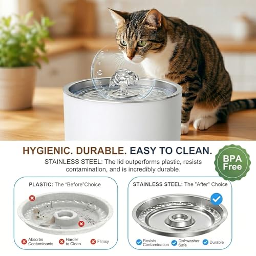 Cat Water Fountain Stainless Steel Lid 81oz