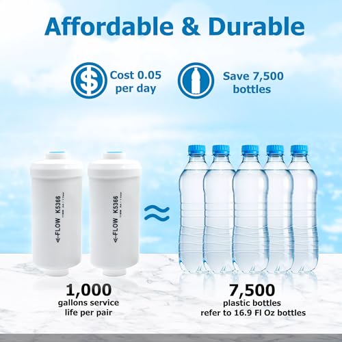 Fluoride Water Filter (2 Count)