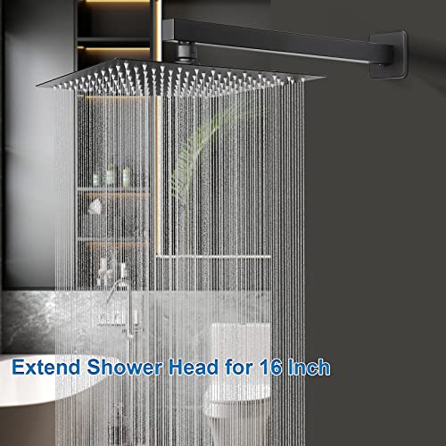 Shower Head with Extension Arm