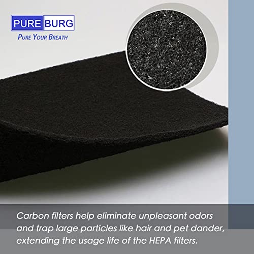 Replacement Foam Filter Compatible with Homerunpet Pet Blow Dryer PD10