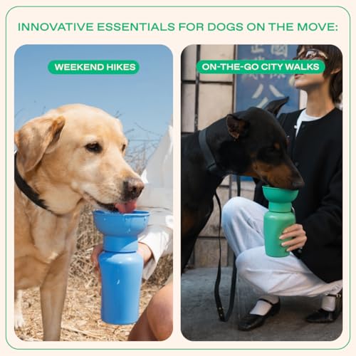 Springer Flip Dog Water Bottle