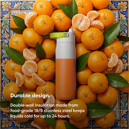 Swig Top Insulated Stainless Steel Water Bottle with Straw and Handle