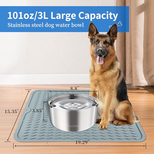 3L Stinless Steel Dog Water Bowl and Waterproof Silicone Mat (2.4 Pound)