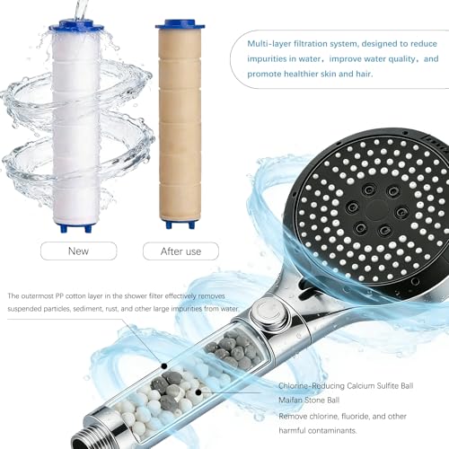 Filtered Shower Head with Handheld (12 Count)