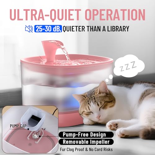 85oz 2.5L Cat Water Fountain with Detachable Tank for Cat